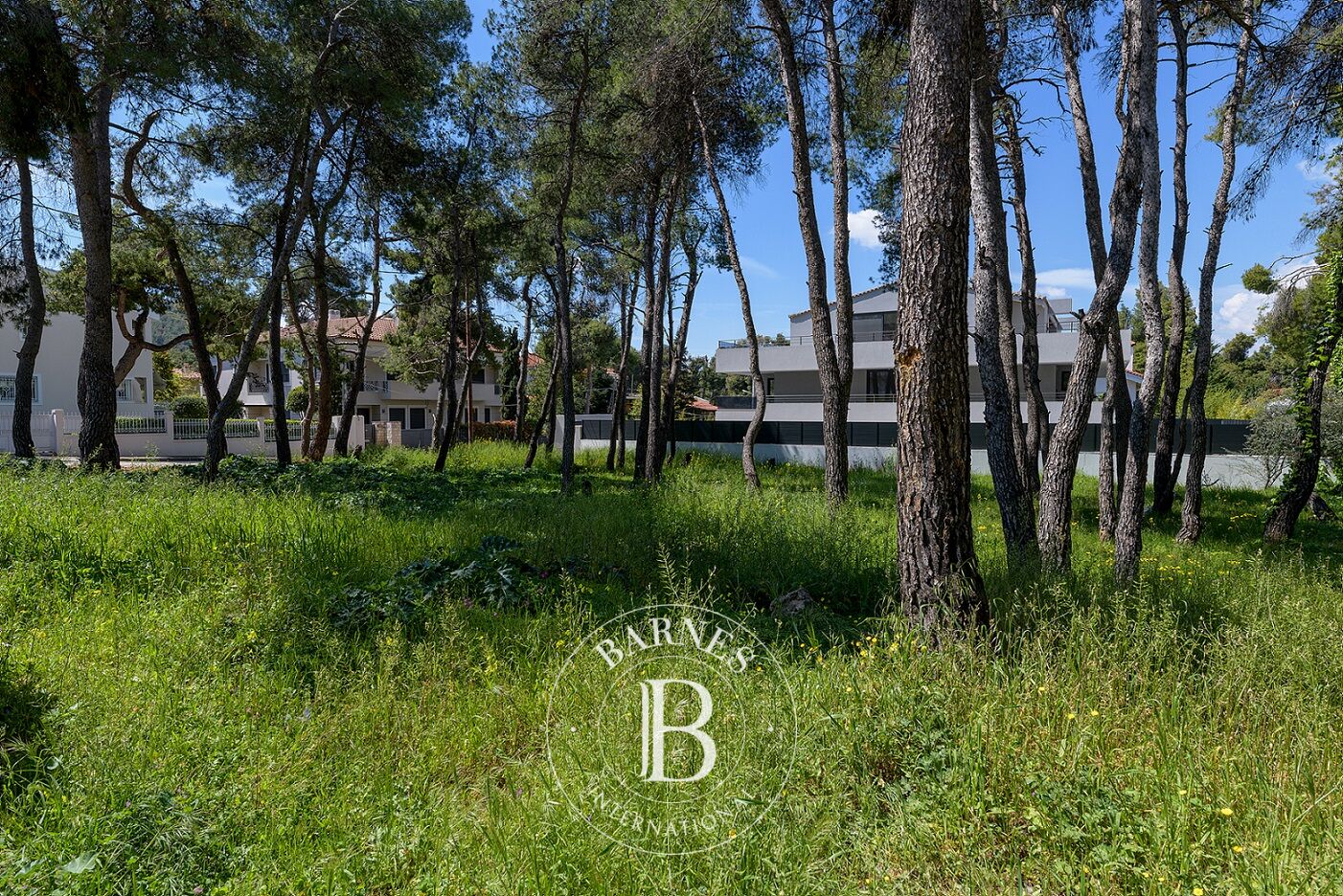 Zemin Ekali - picture 4