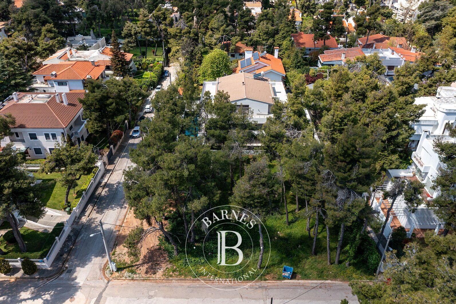 Zemin Ekali - picture 5