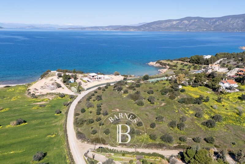 À vendre Terrain constructible | Argolida - picture 2