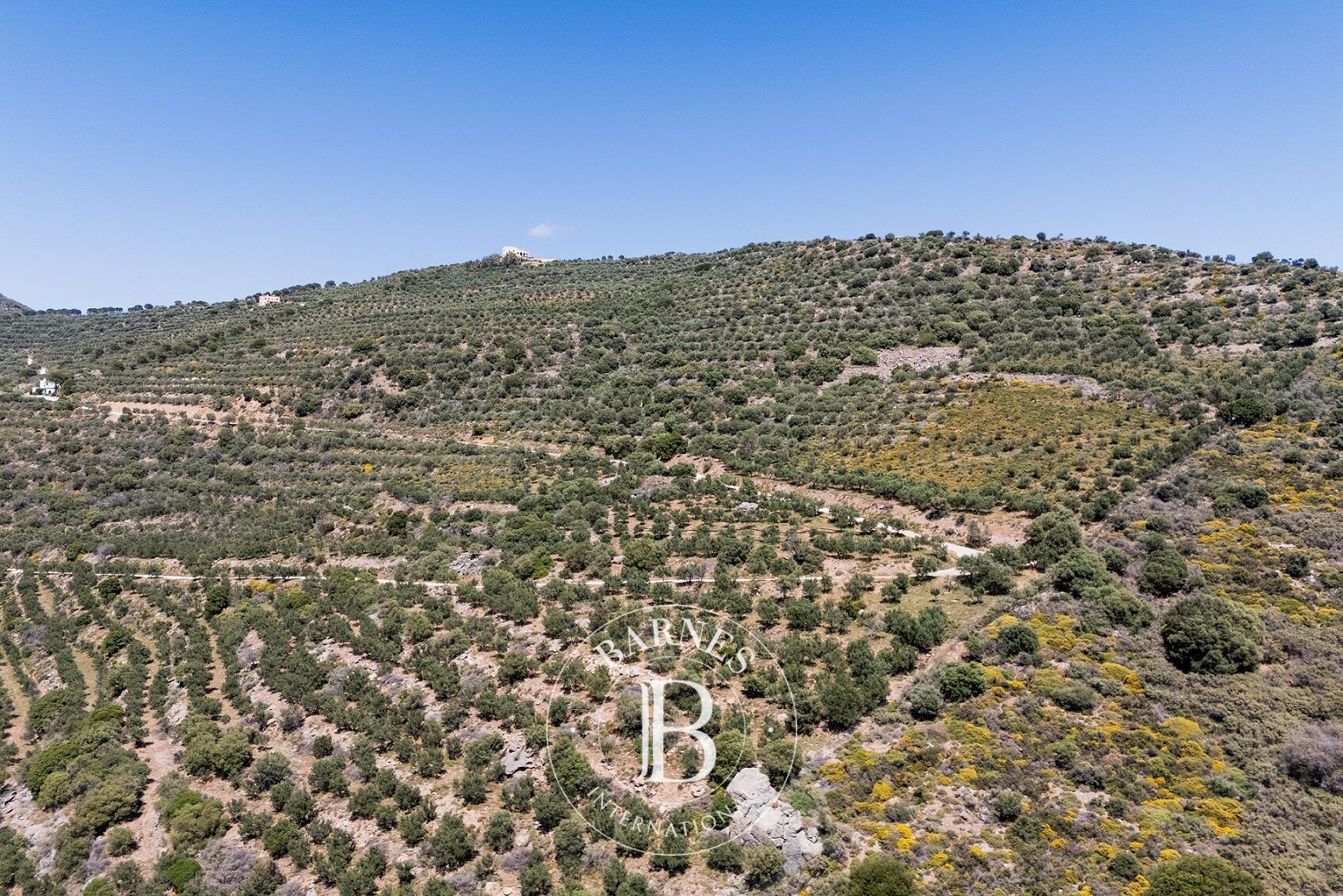 Exceptional Plot - Chania - picture 2