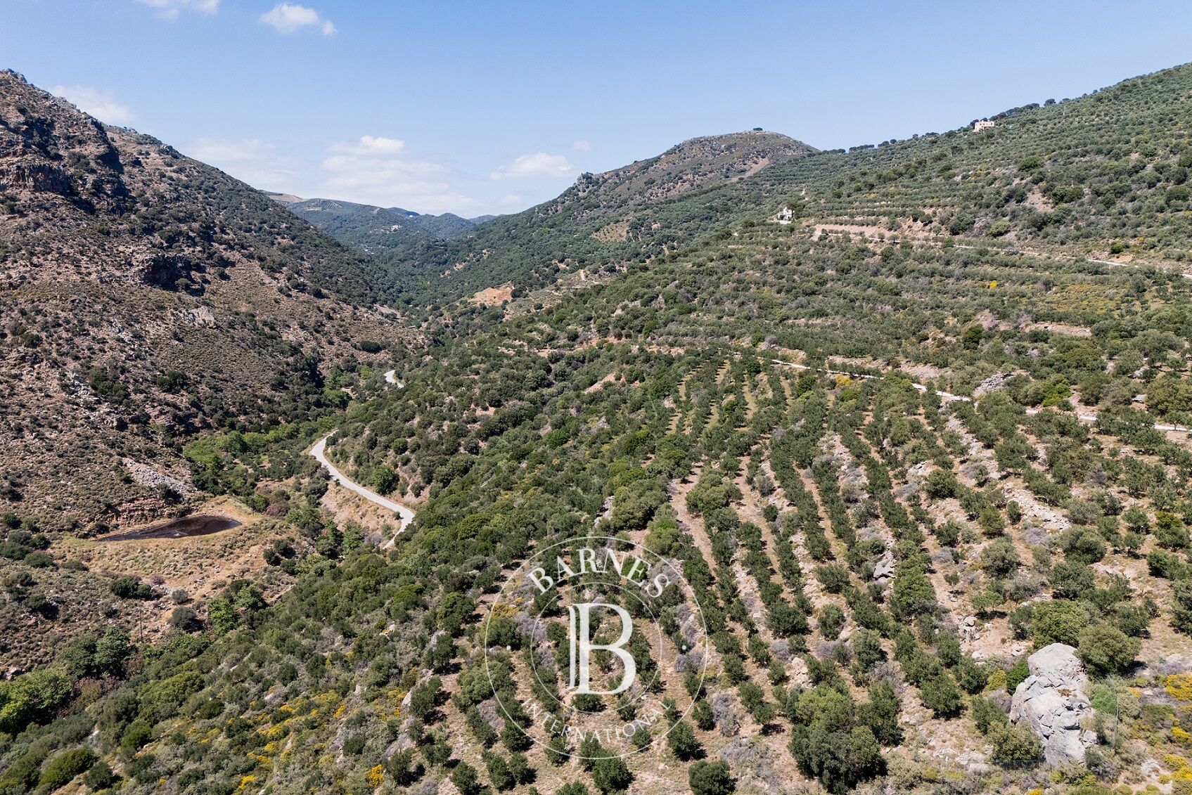 Exceptional Plot - Chania - picture 3