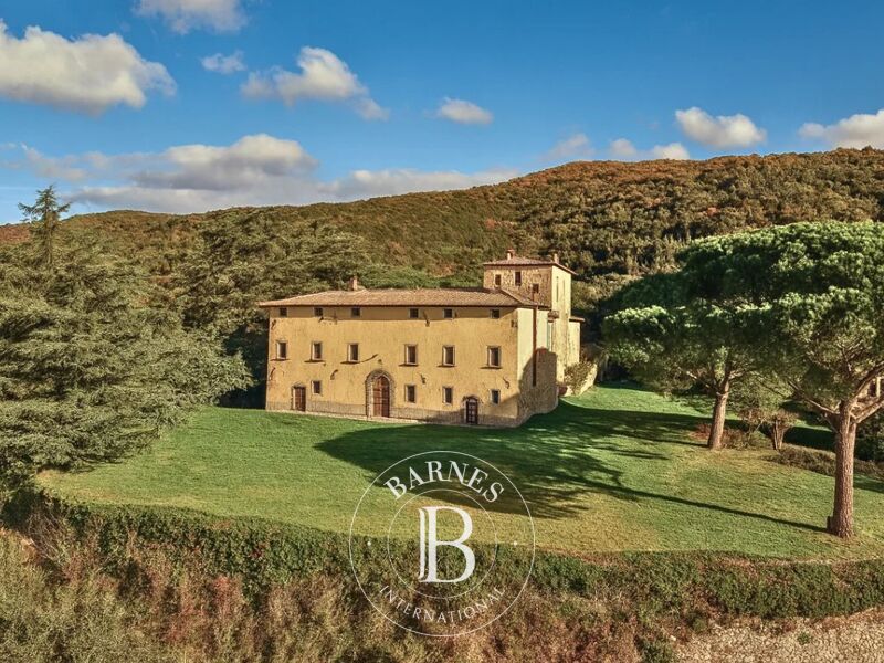 À vendre, Château Arezzo - picture 2