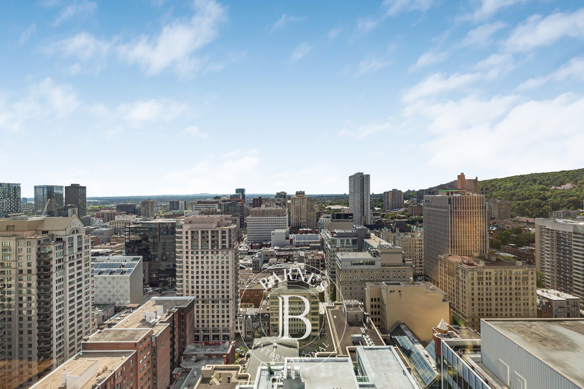 Daire Montréal (Ville-Marie) - picture 19