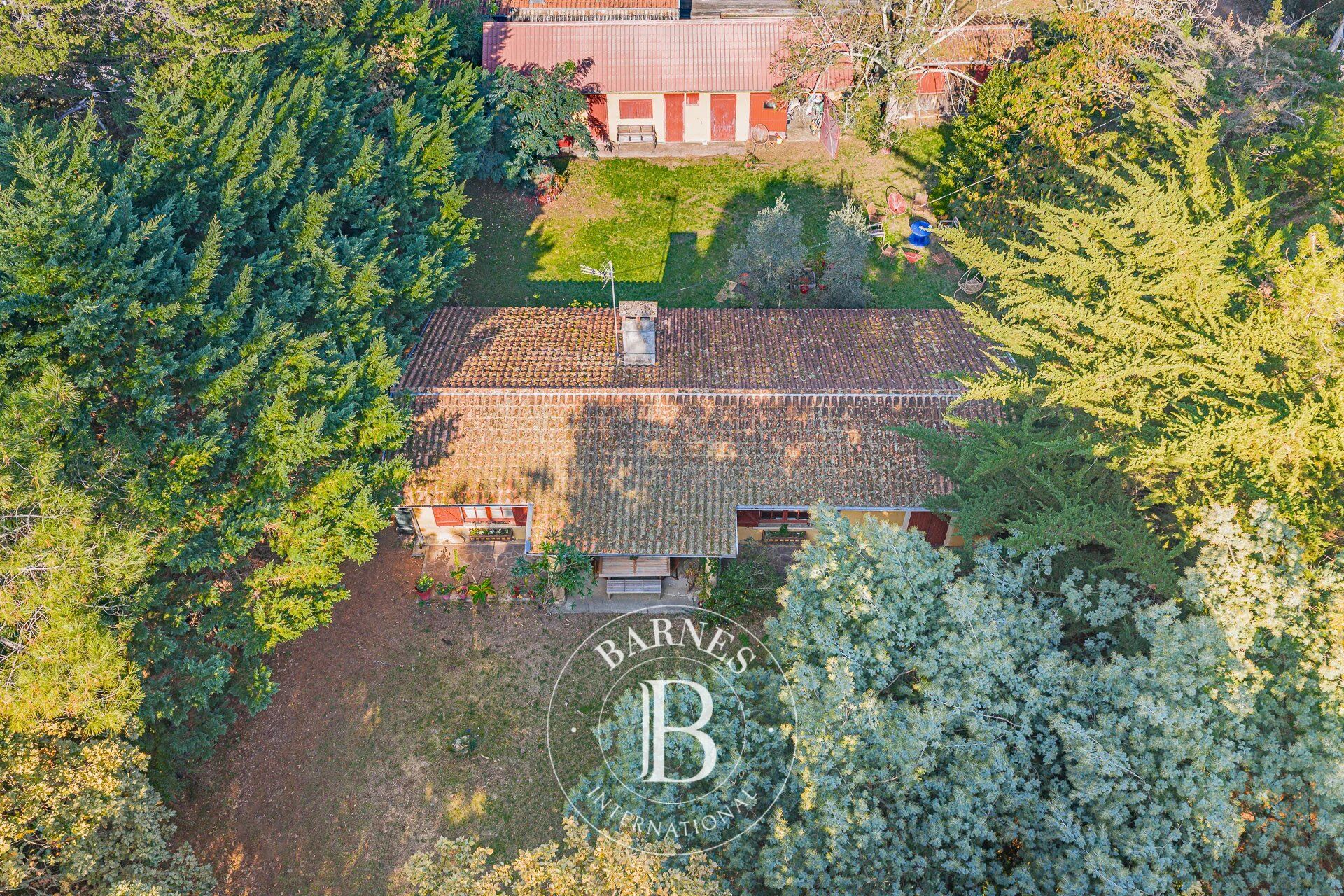 House Lège-Cap-Ferret - picture 2