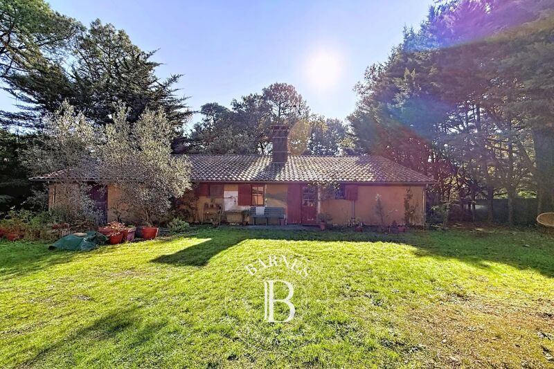 For Sale, House Lège-Cap-Ferret - picture 3