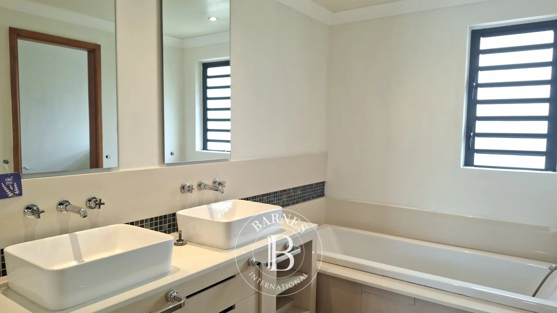 Villa Petite Rivière Noire - picture 12