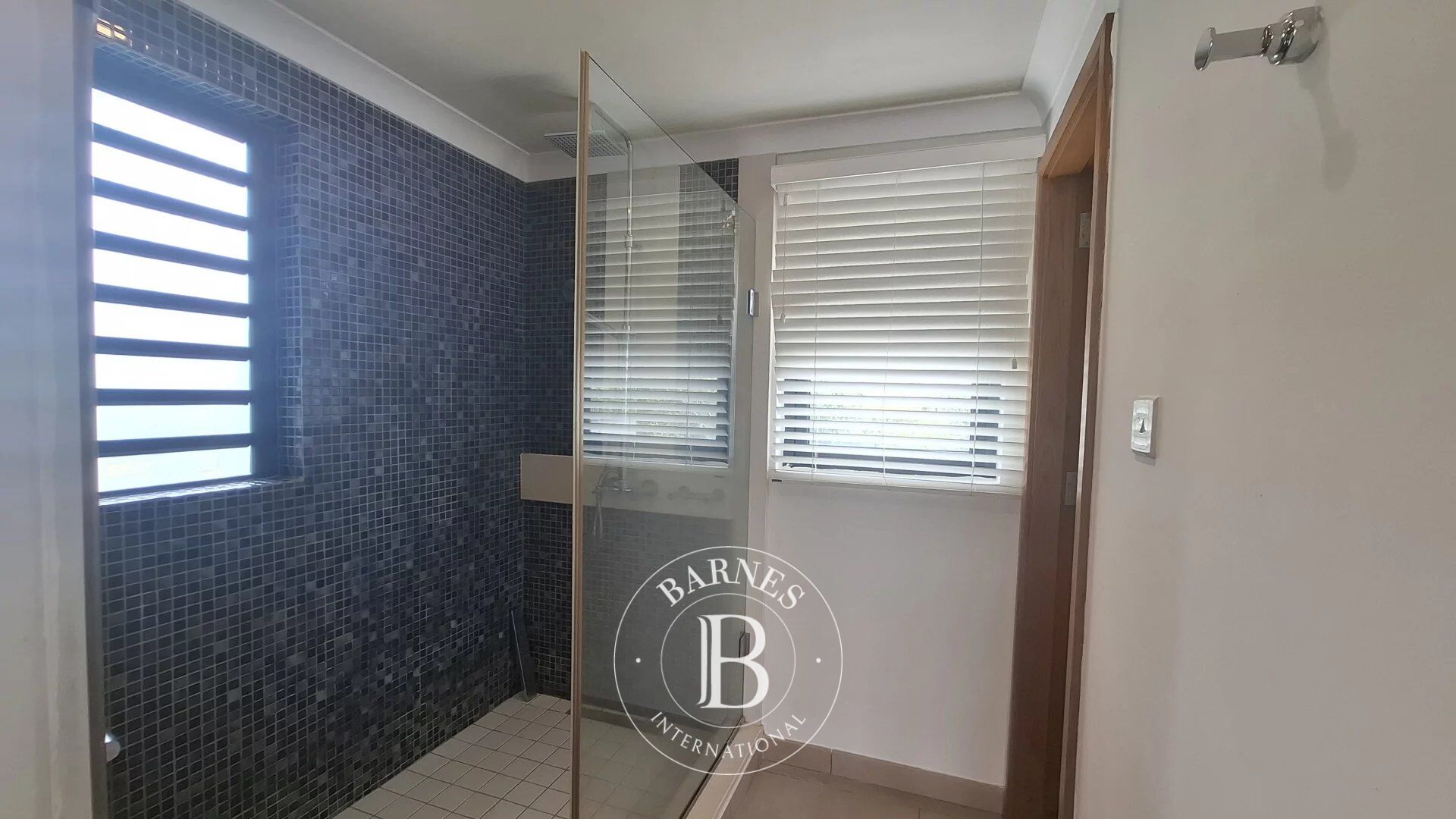 Villa Petite Rivière Noire - picture 15