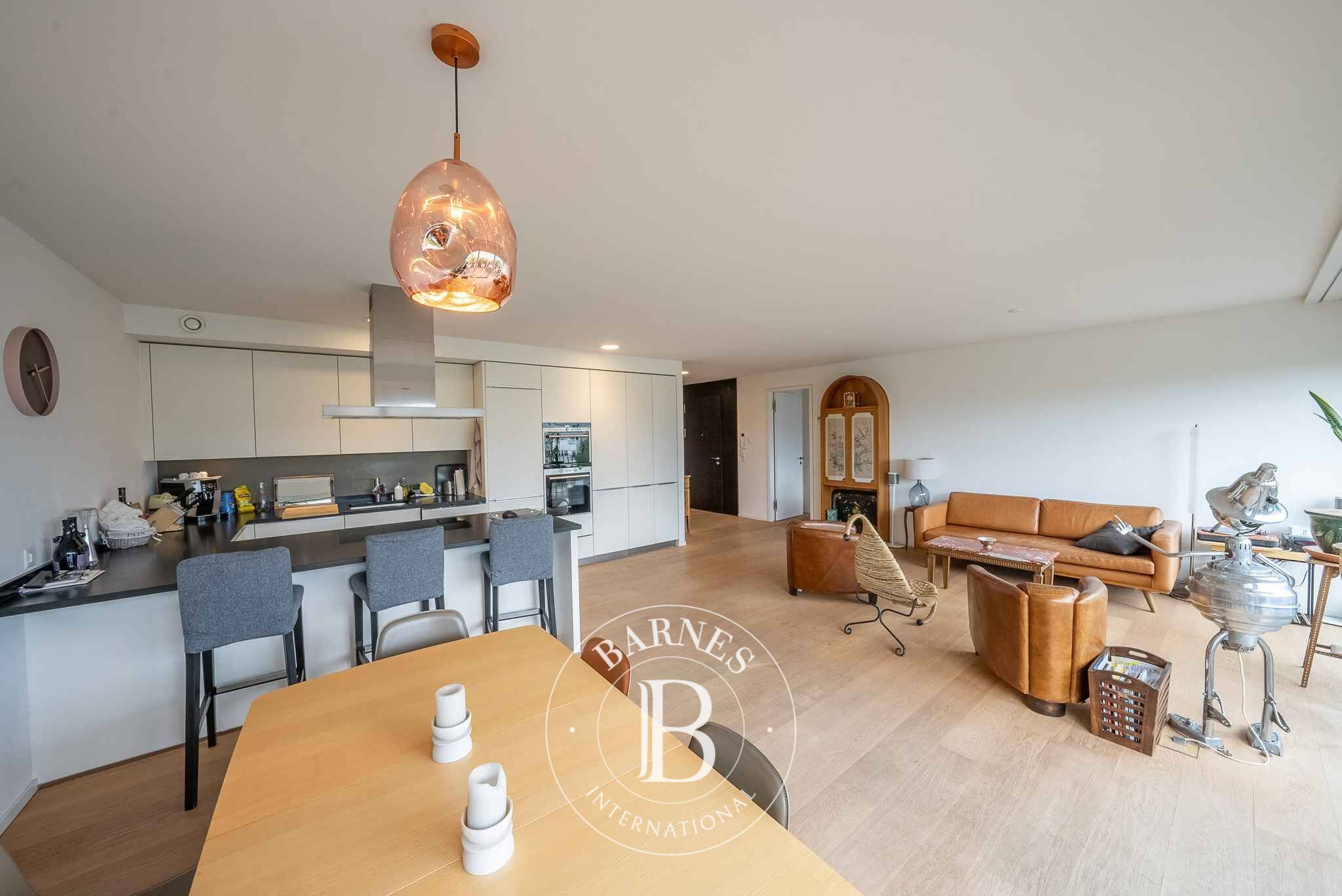 Penthouse Charmilles - picture 2