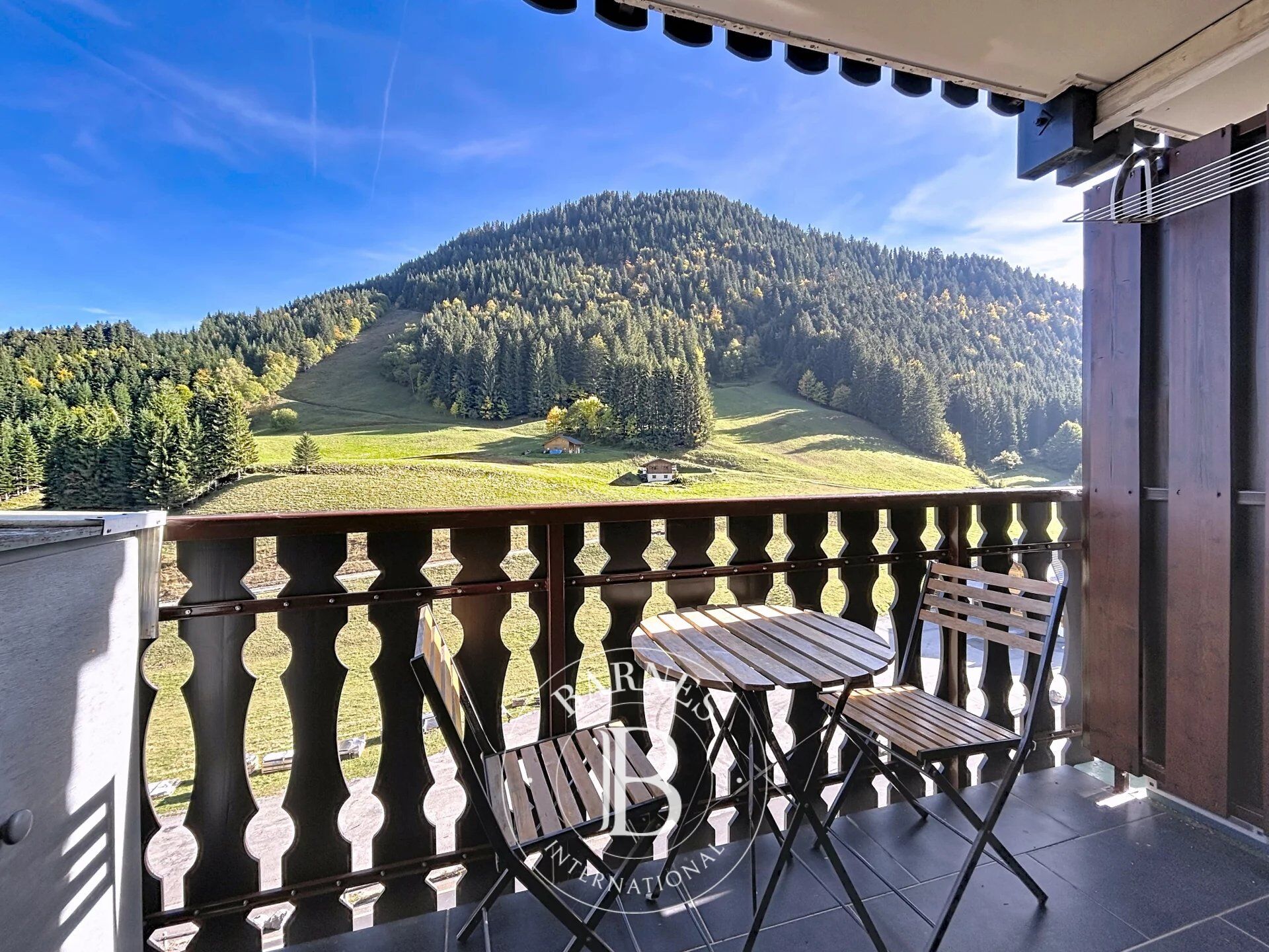 LE BIOT - Col du Corbier - Appartement T2 de 29m² - vue panoramique montagne - picture 3