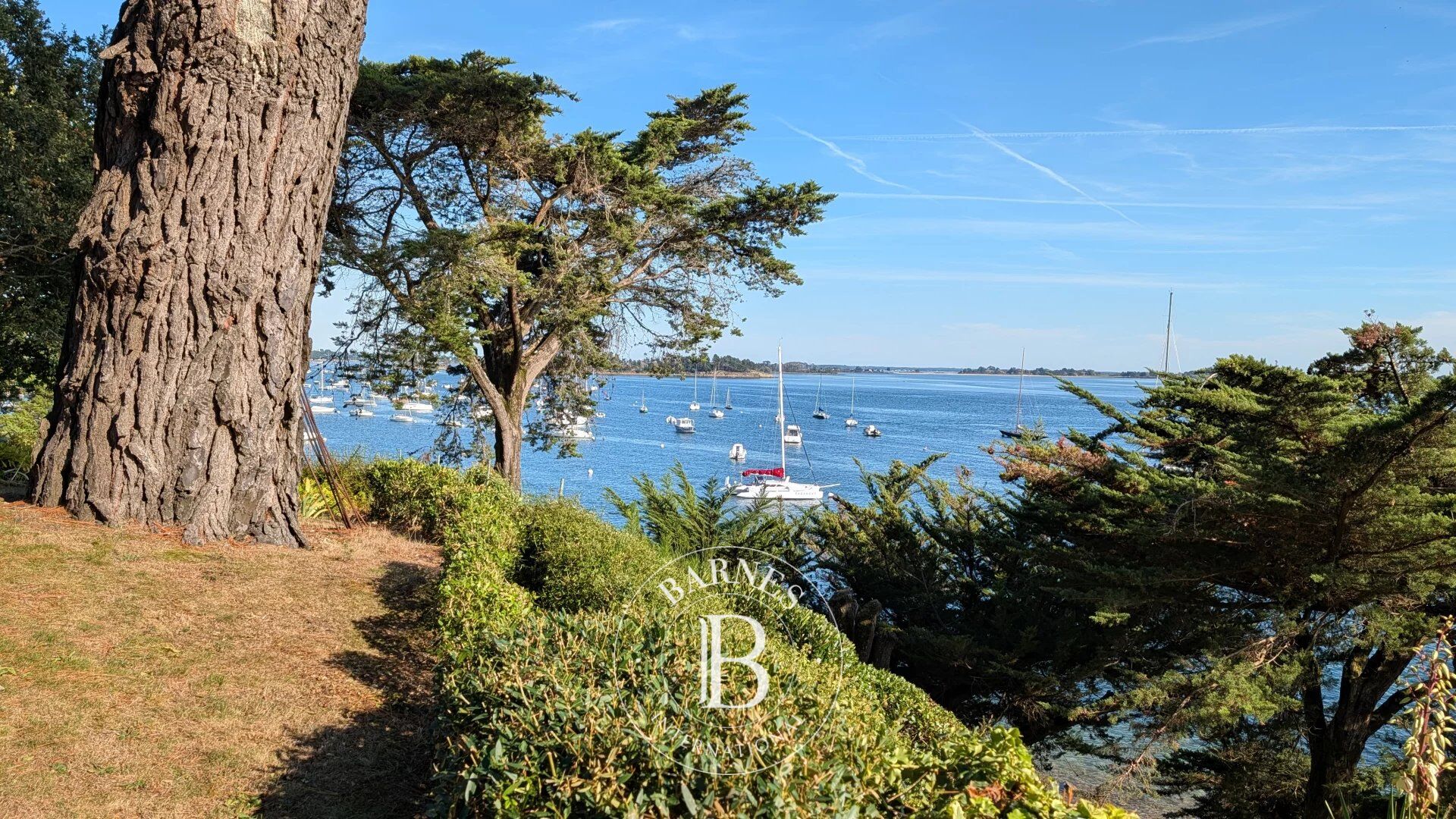 Finca Arradon - picture 3