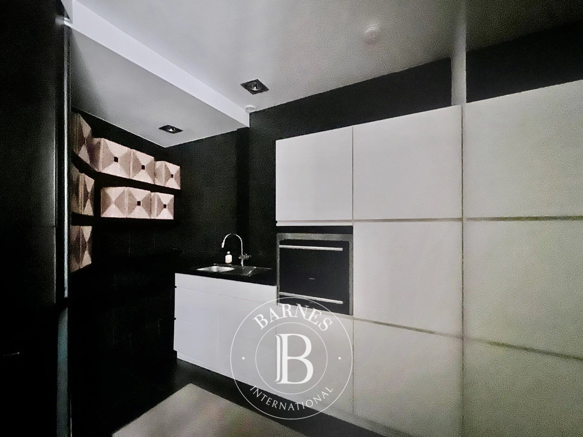 Ev Ixelles - picture 4