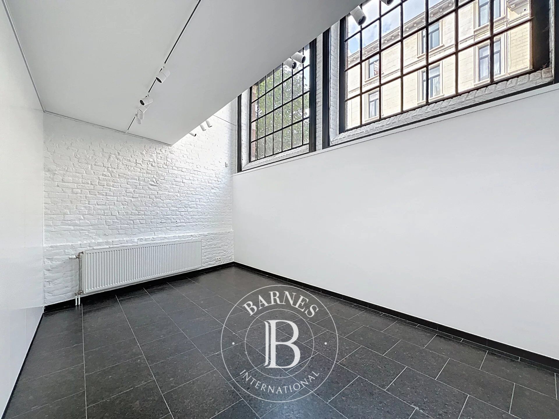 Ev Ixelles - picture 5