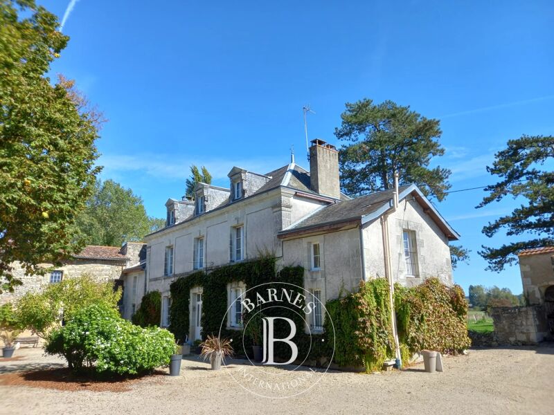 Venta, Casa solariega Saint-Martin-la-Pallu - picture 3