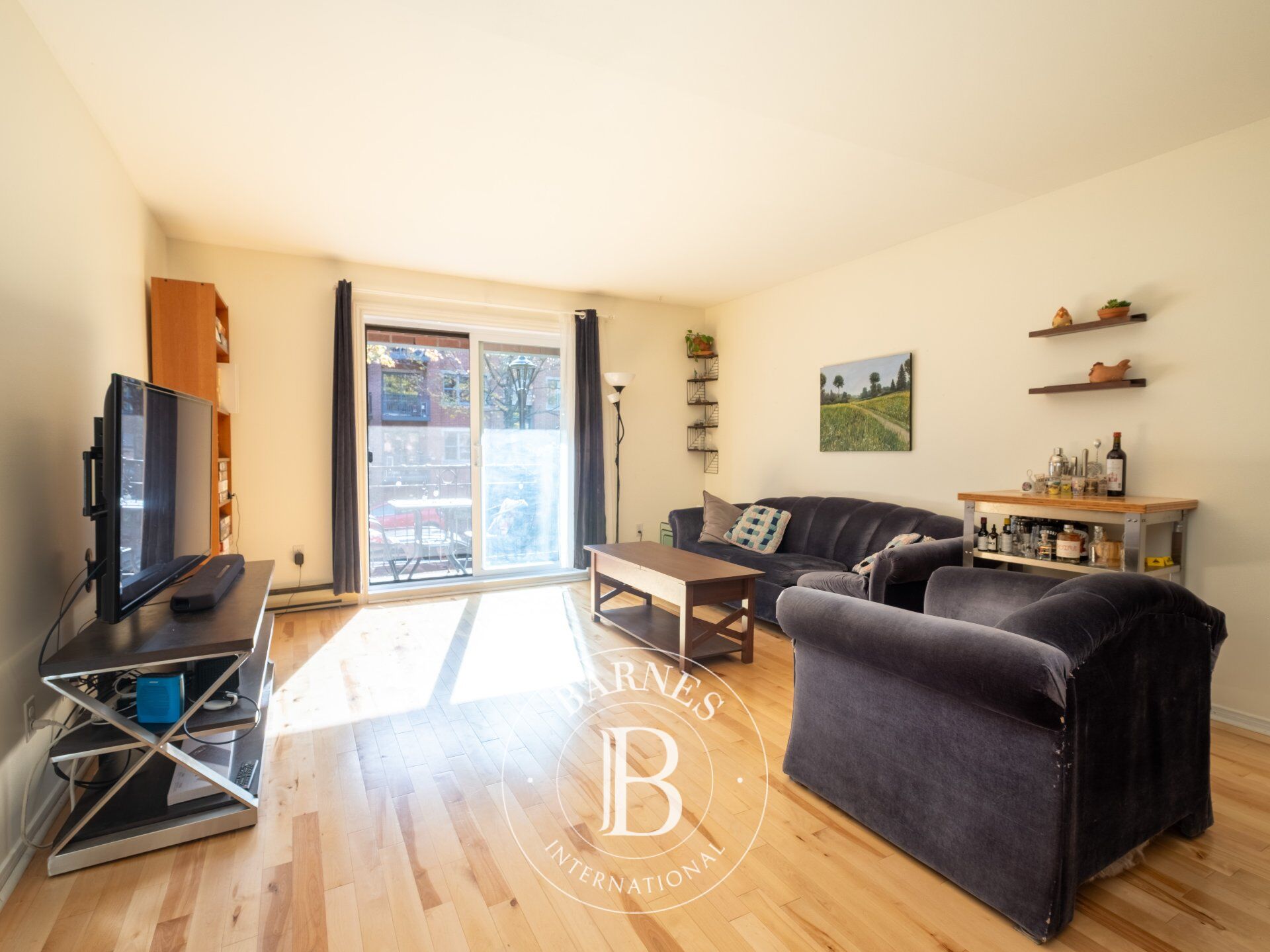 Daire Montréal (Rosemont/La Petite-Patrie) - picture 9