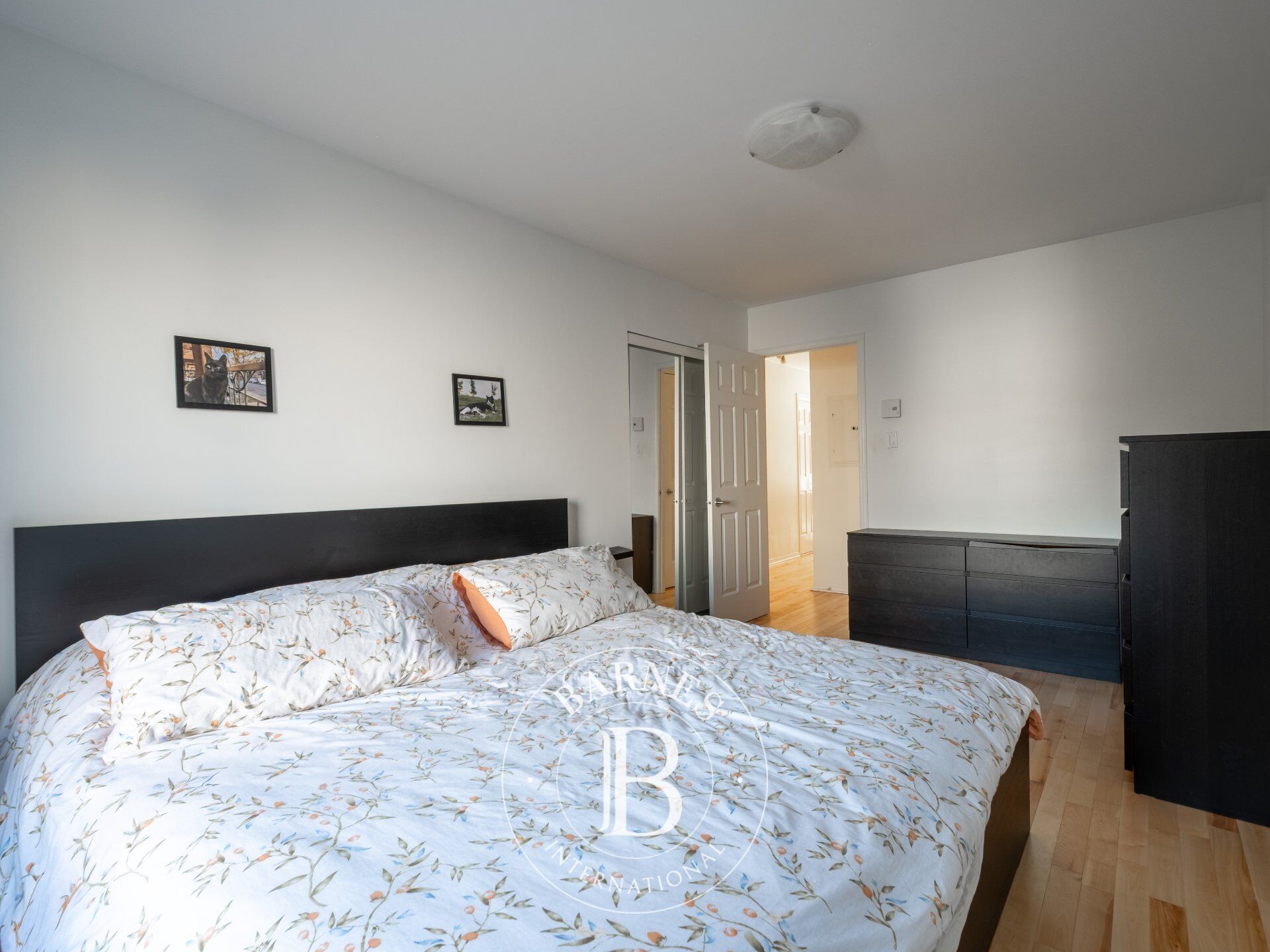 Daire Montréal (Rosemont/La Petite-Patrie) - picture 21