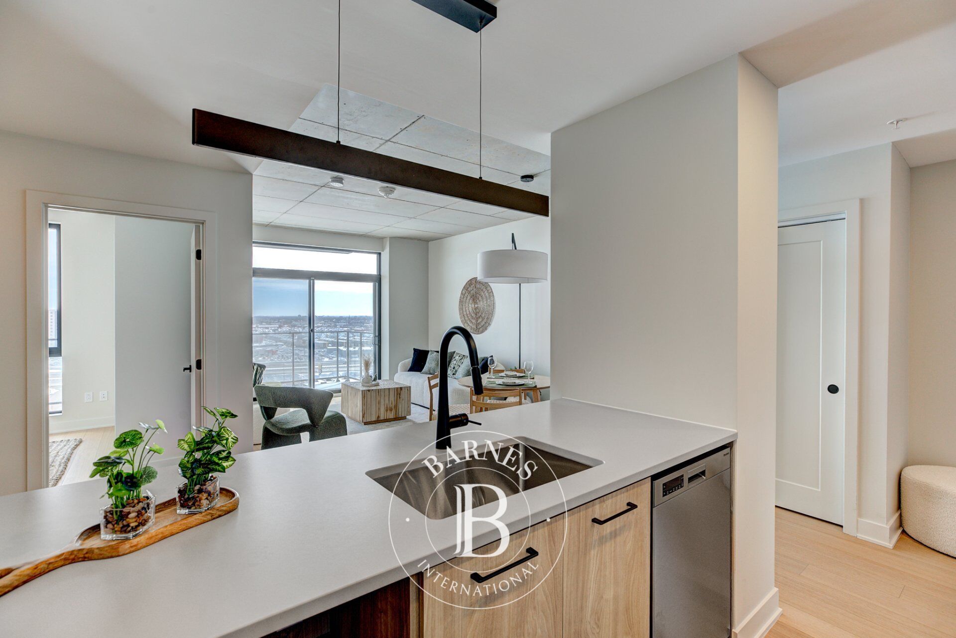 Daire Laval (Chomedey) - picture 12