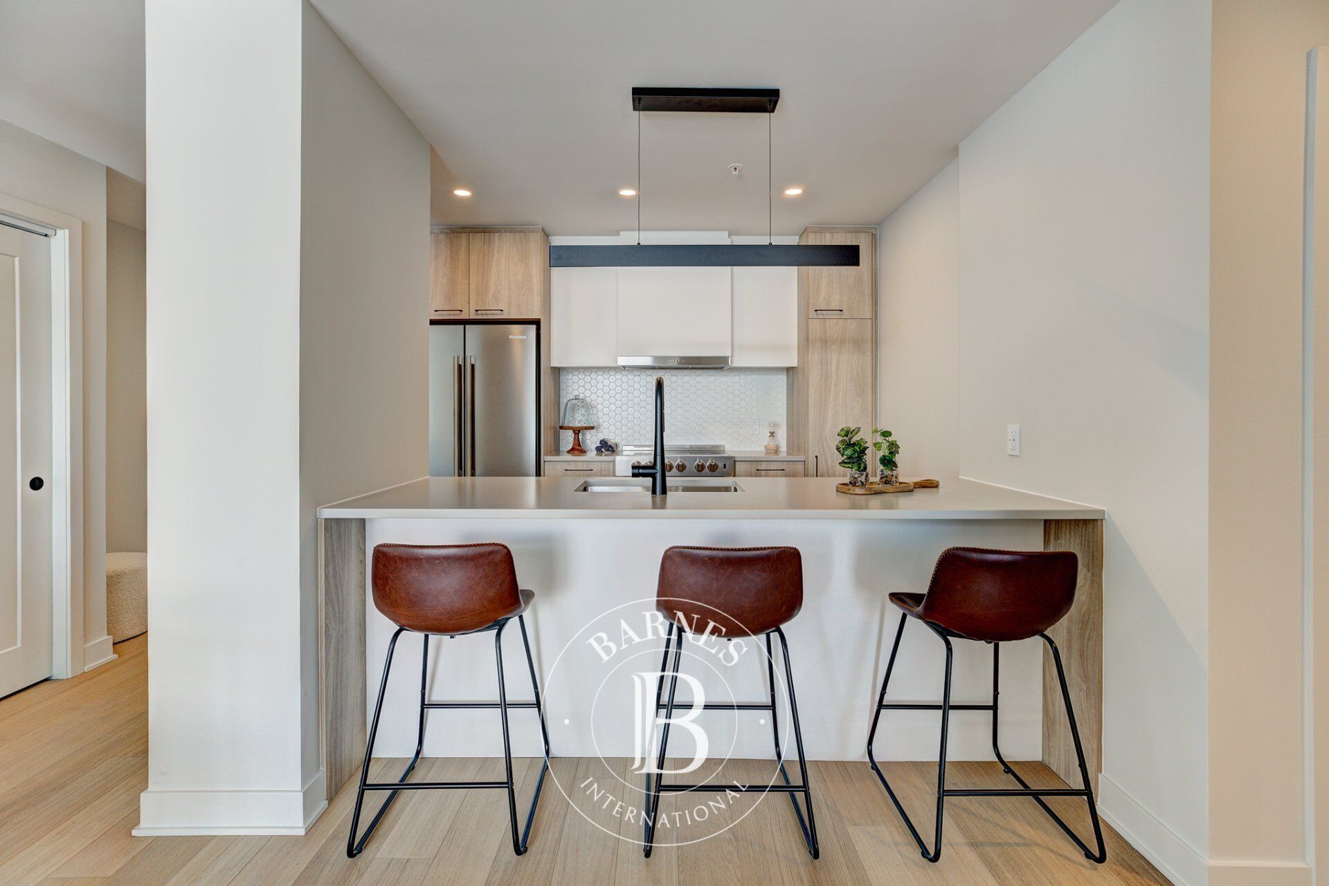 Daire Laval (Chomedey) - picture 9