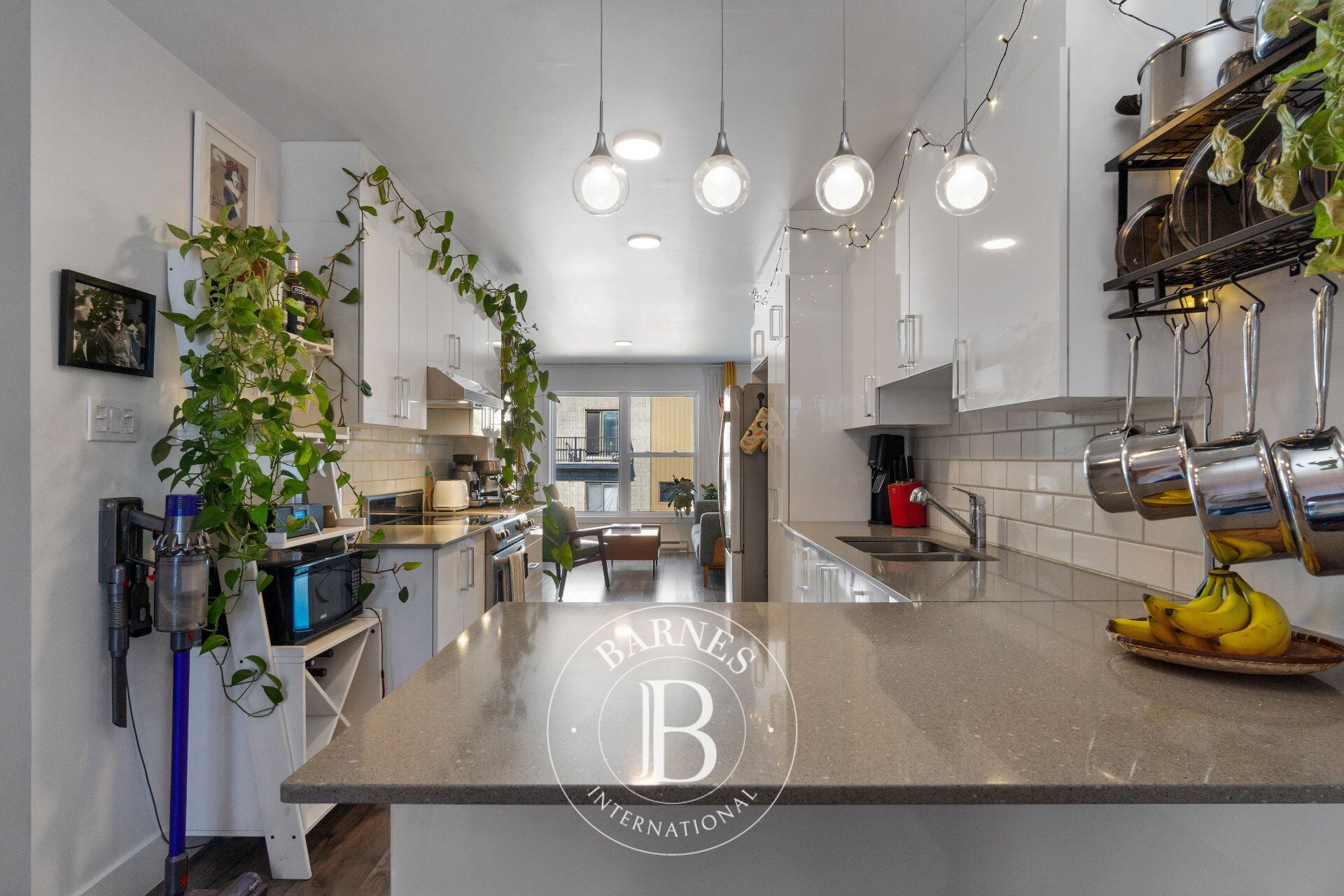 Daire Montréal (Rosemont/La Petite-Patrie) - picture 12