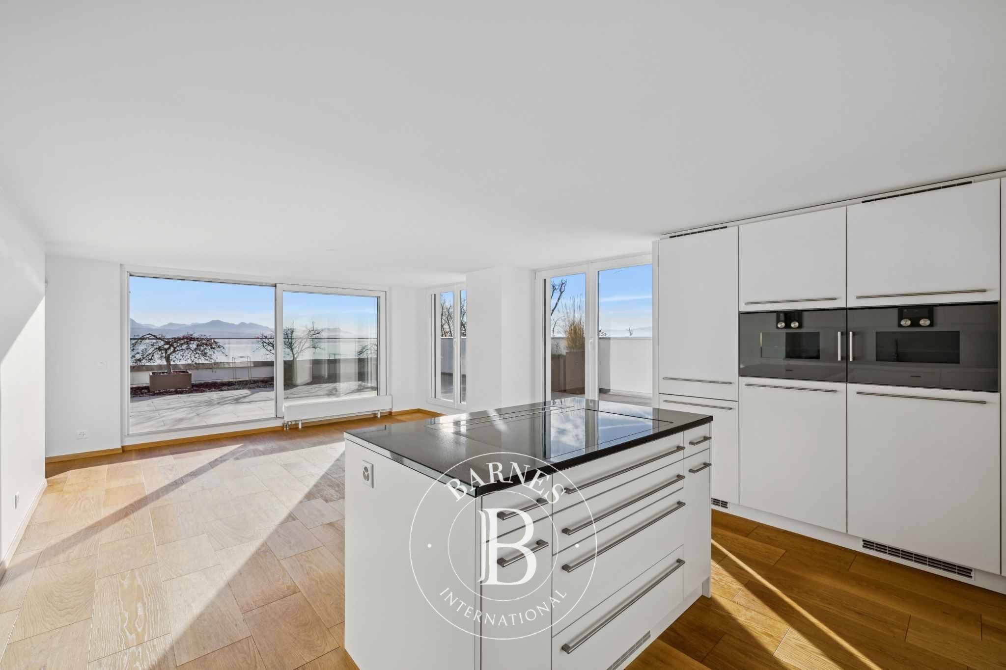 À vendre, Penthouse Pully - picture 10