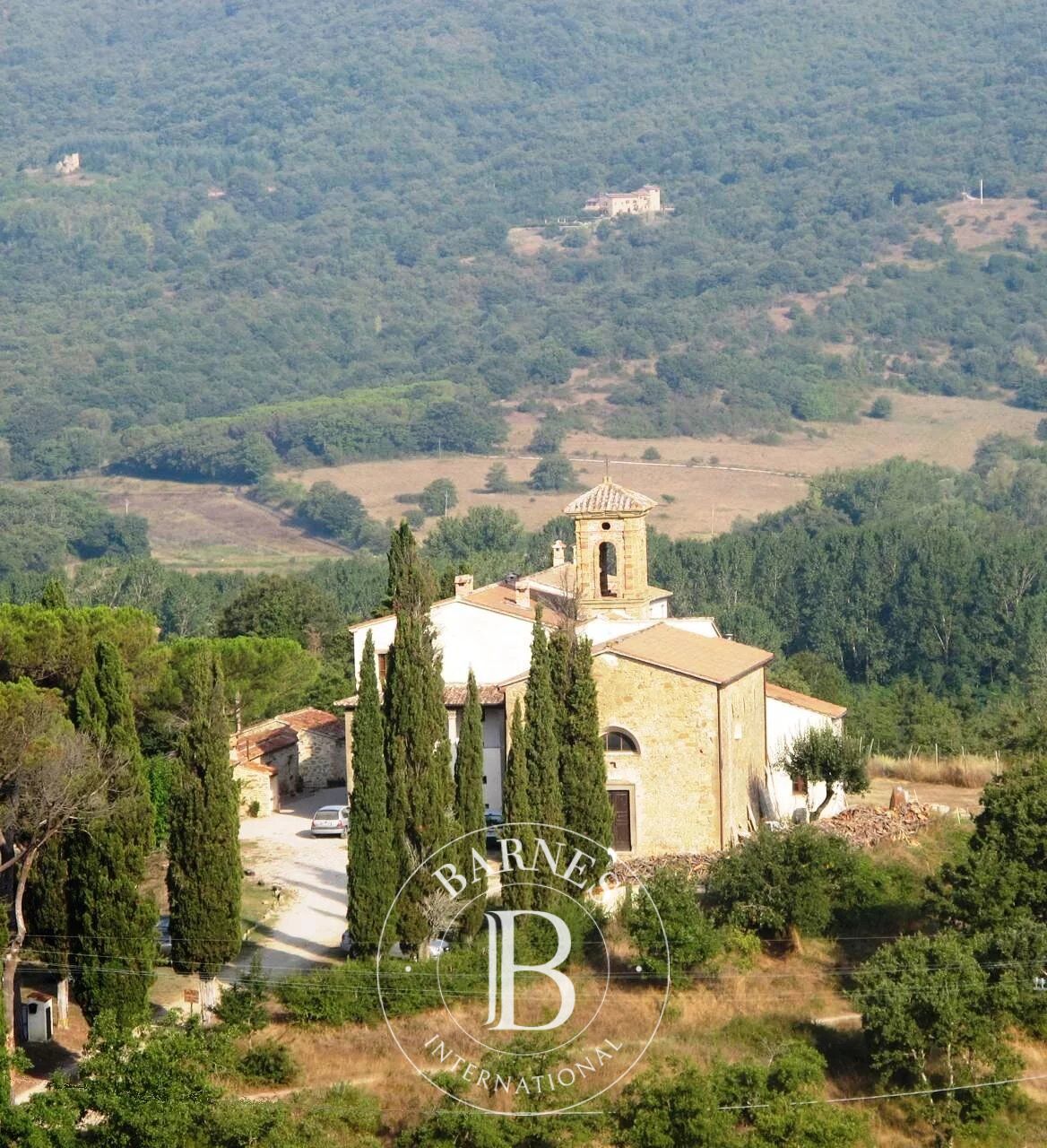 Malikane Lisciano Niccone - picture 15