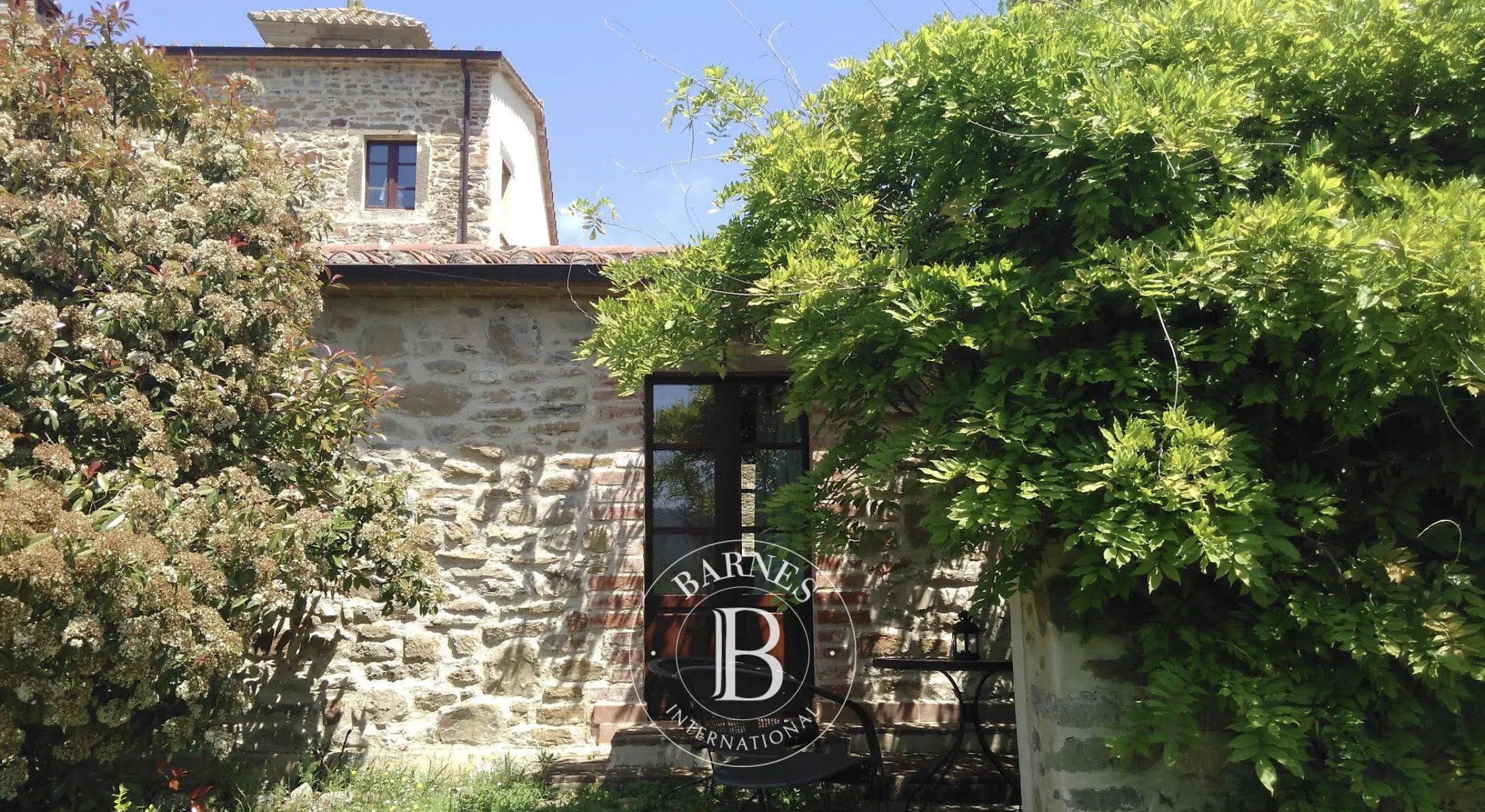 Malikane Lisciano Niccone - picture 5