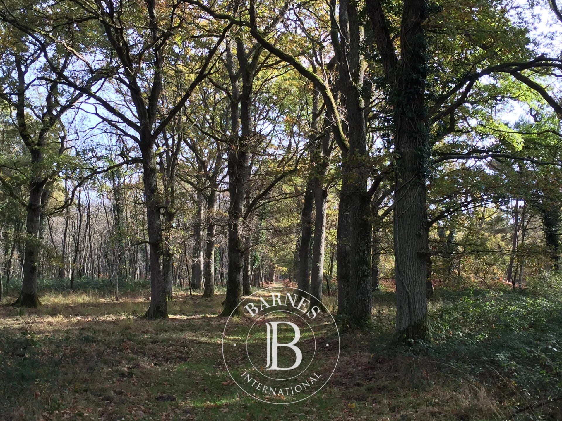 COEUR DE TOURAINE - Propriété sur 180 hectares - picture 3