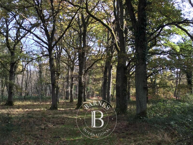 Venta, Finca Reignac-sur-Indre - picture 3