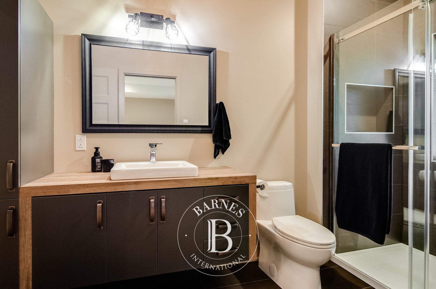 Ev Mont-Tremblant - picture 28