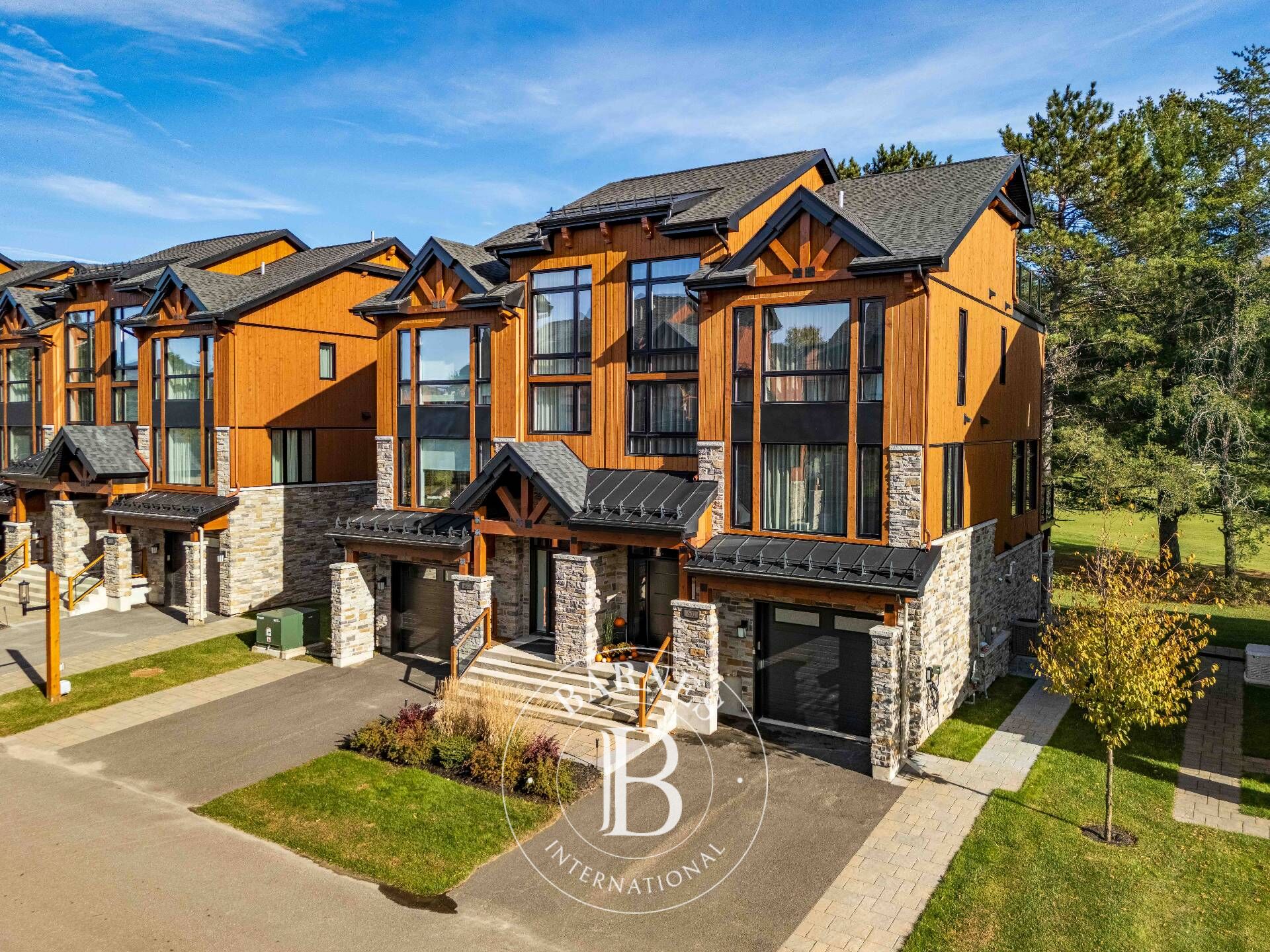 Ev Mont-Tremblant - picture 5