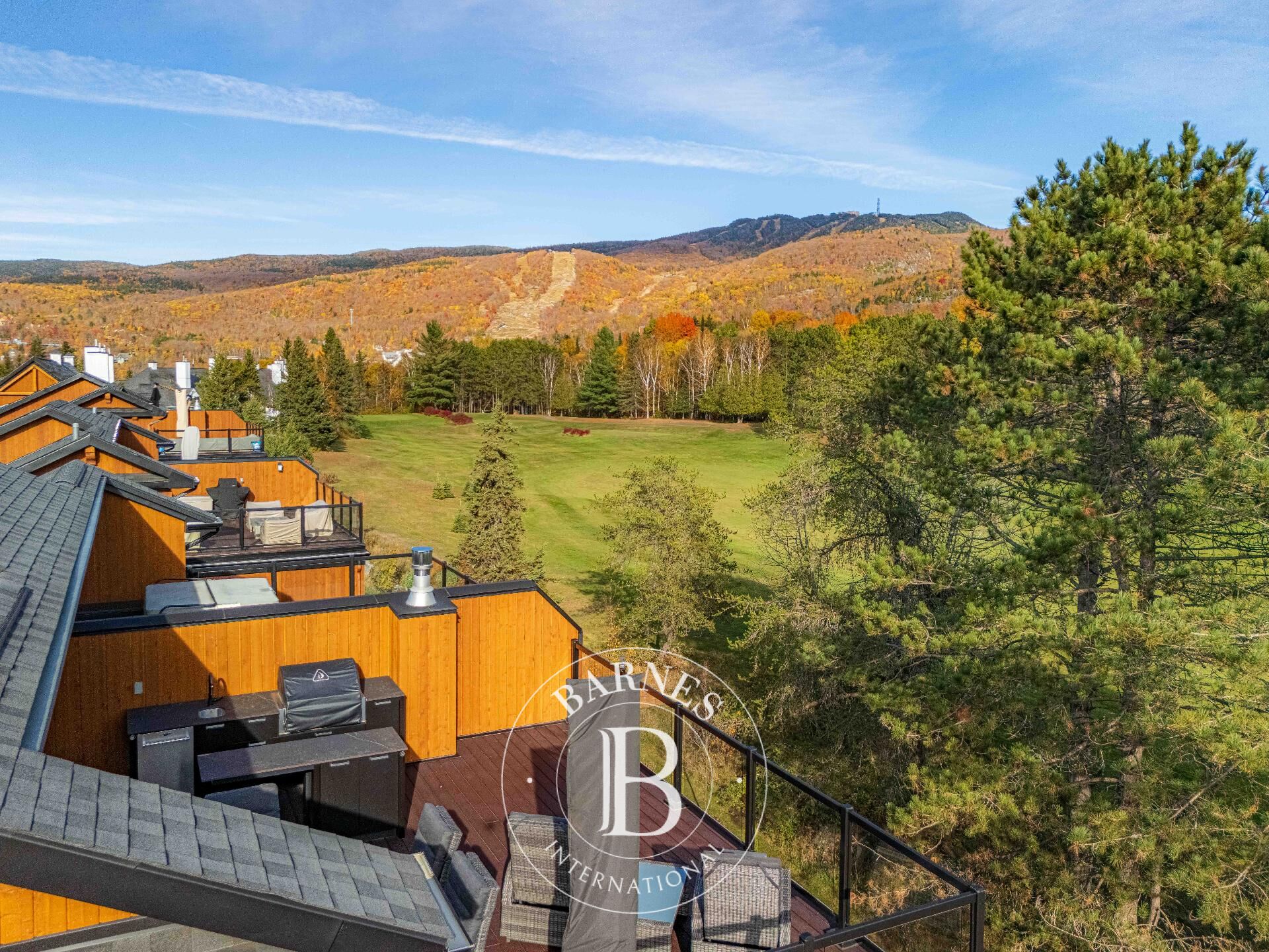 Ev Mont-Tremblant - picture 6