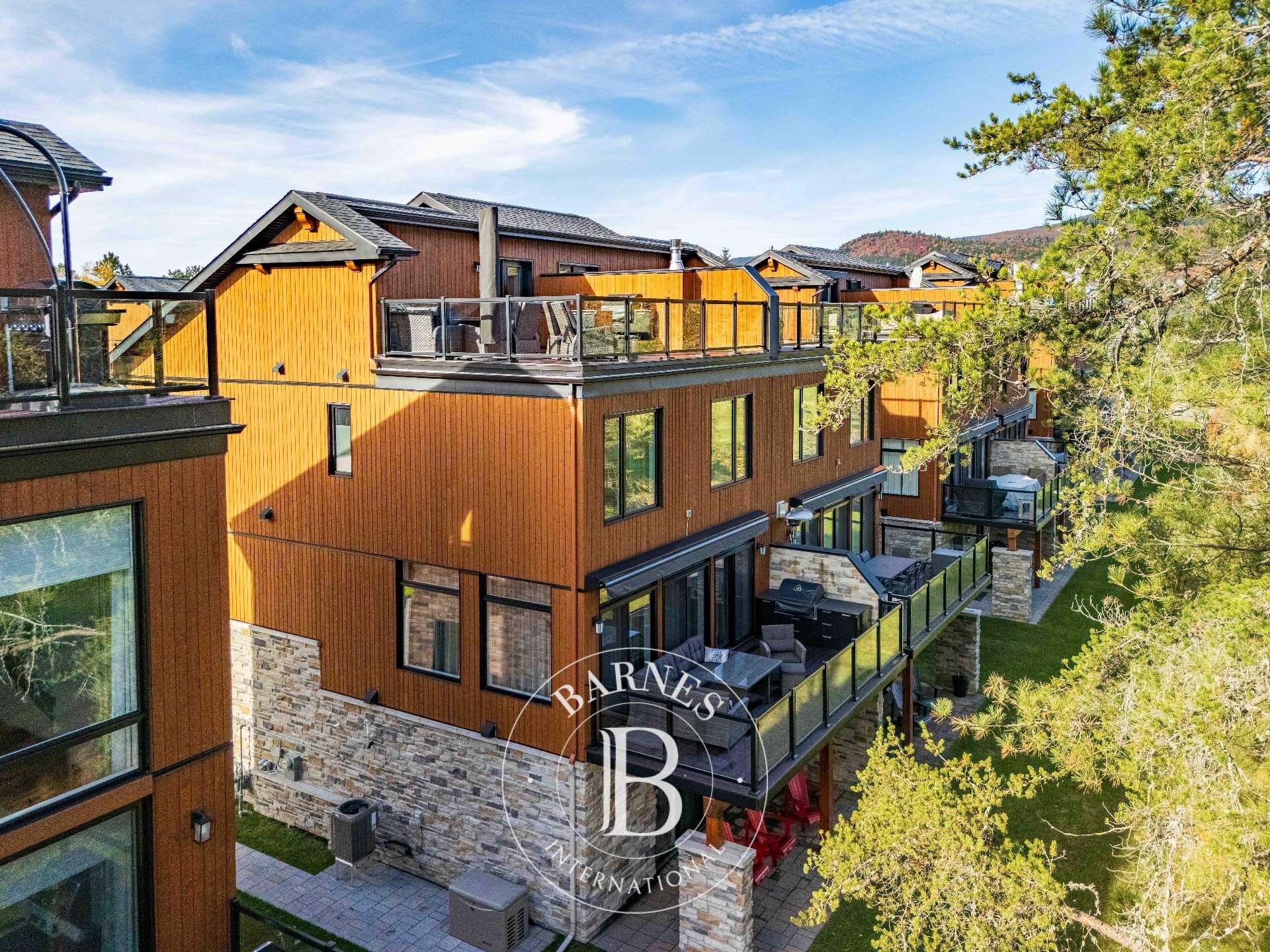 Ev Mont-Tremblant - picture 10