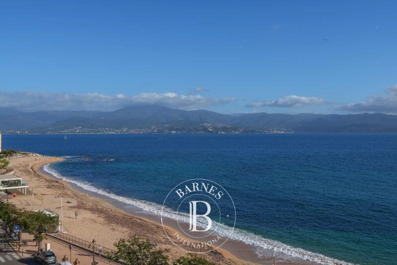 À vendre, Penthouse Ajaccio - picture 2