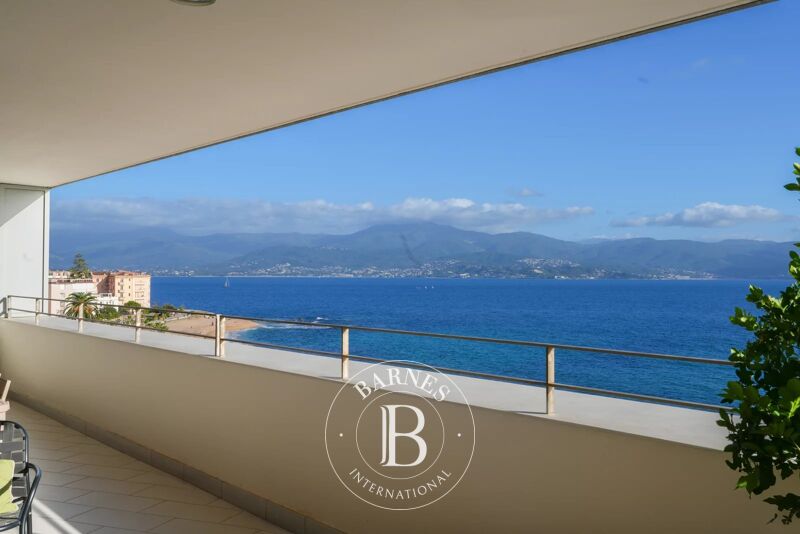 À vendre, Penthouse Ajaccio - picture 3