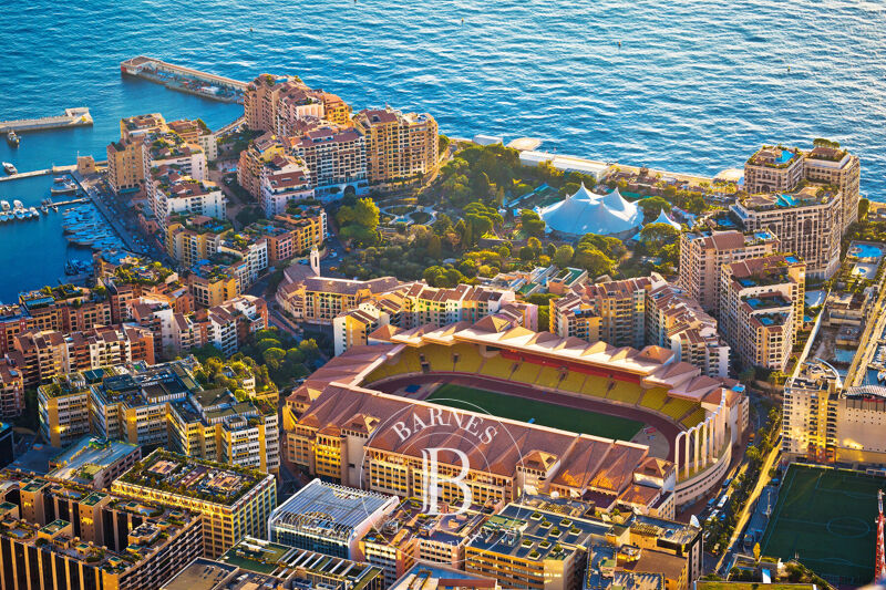 Zu vermieten, Gewerbe Monaco - picture 1