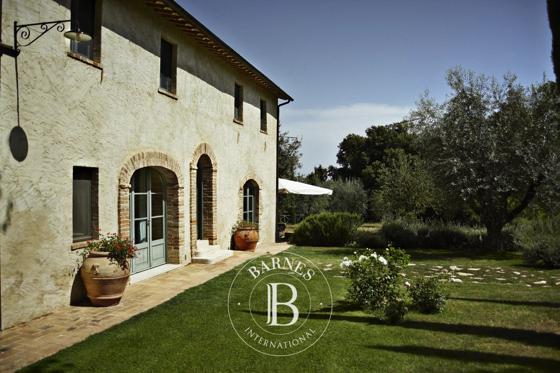 Kulübe Cetona - picture 4