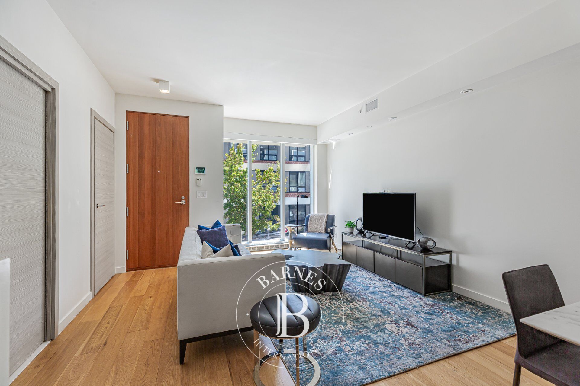 Ev Montréal (Ville-Marie) - picture 11