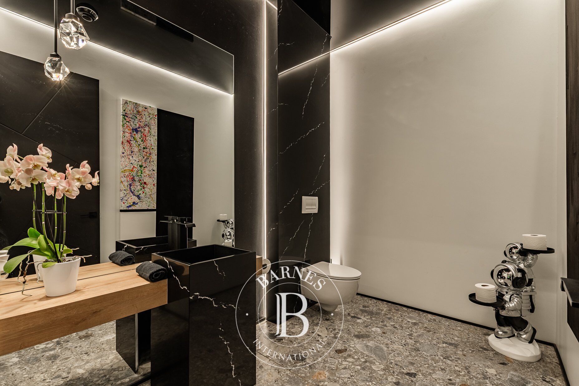 Ev Blainville - picture 21