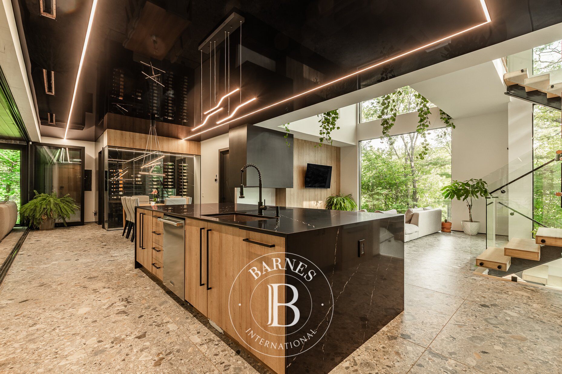 Ev Blainville - picture 13