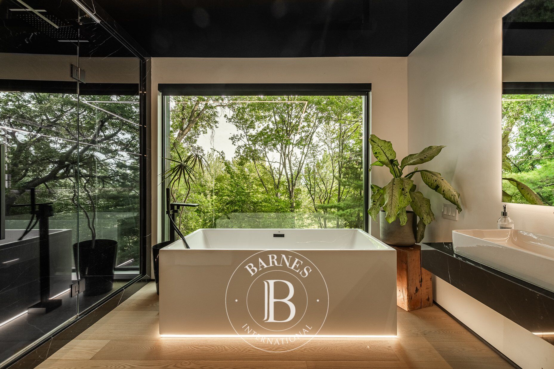 Ev Blainville - picture 40