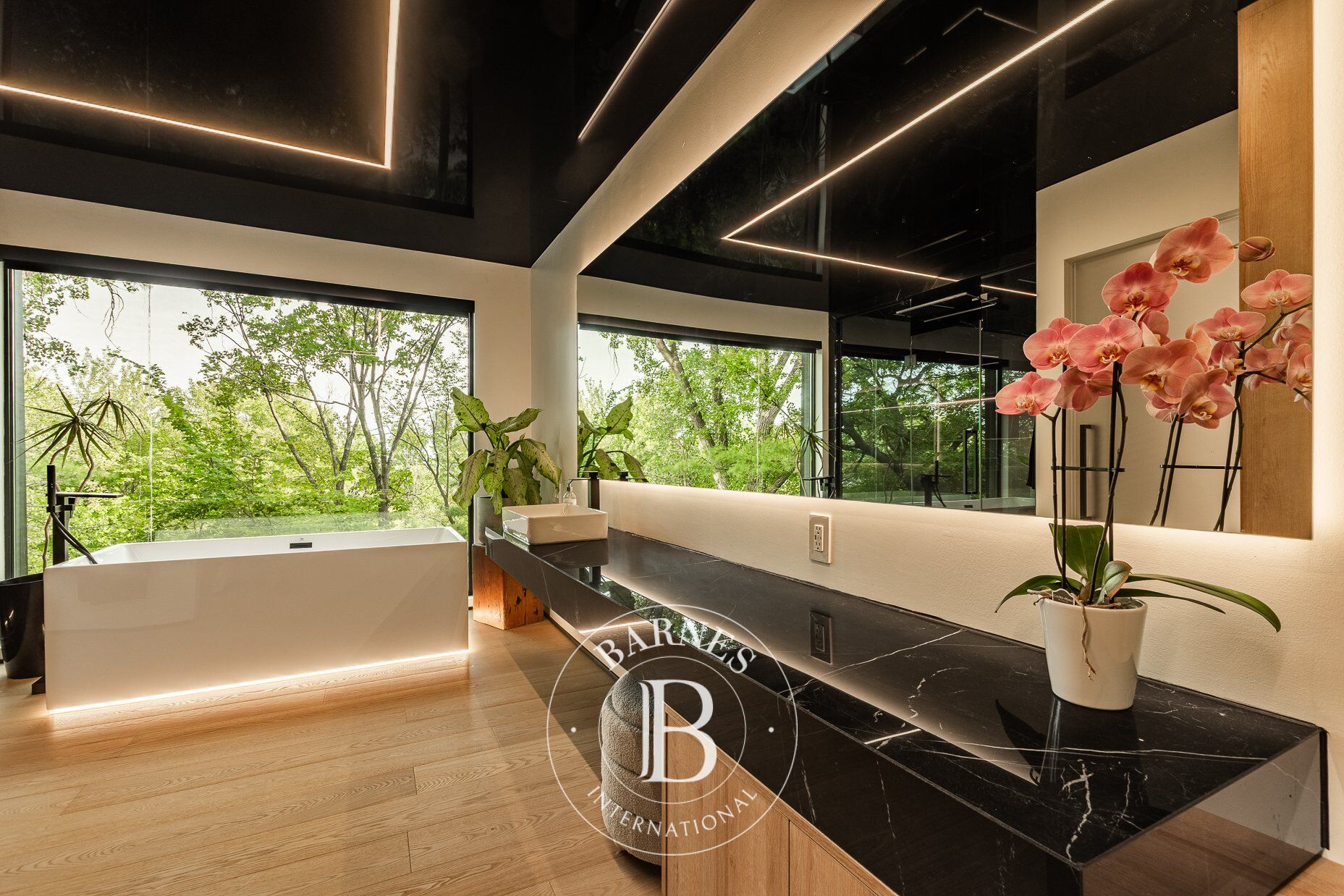 Ev Blainville - picture 38