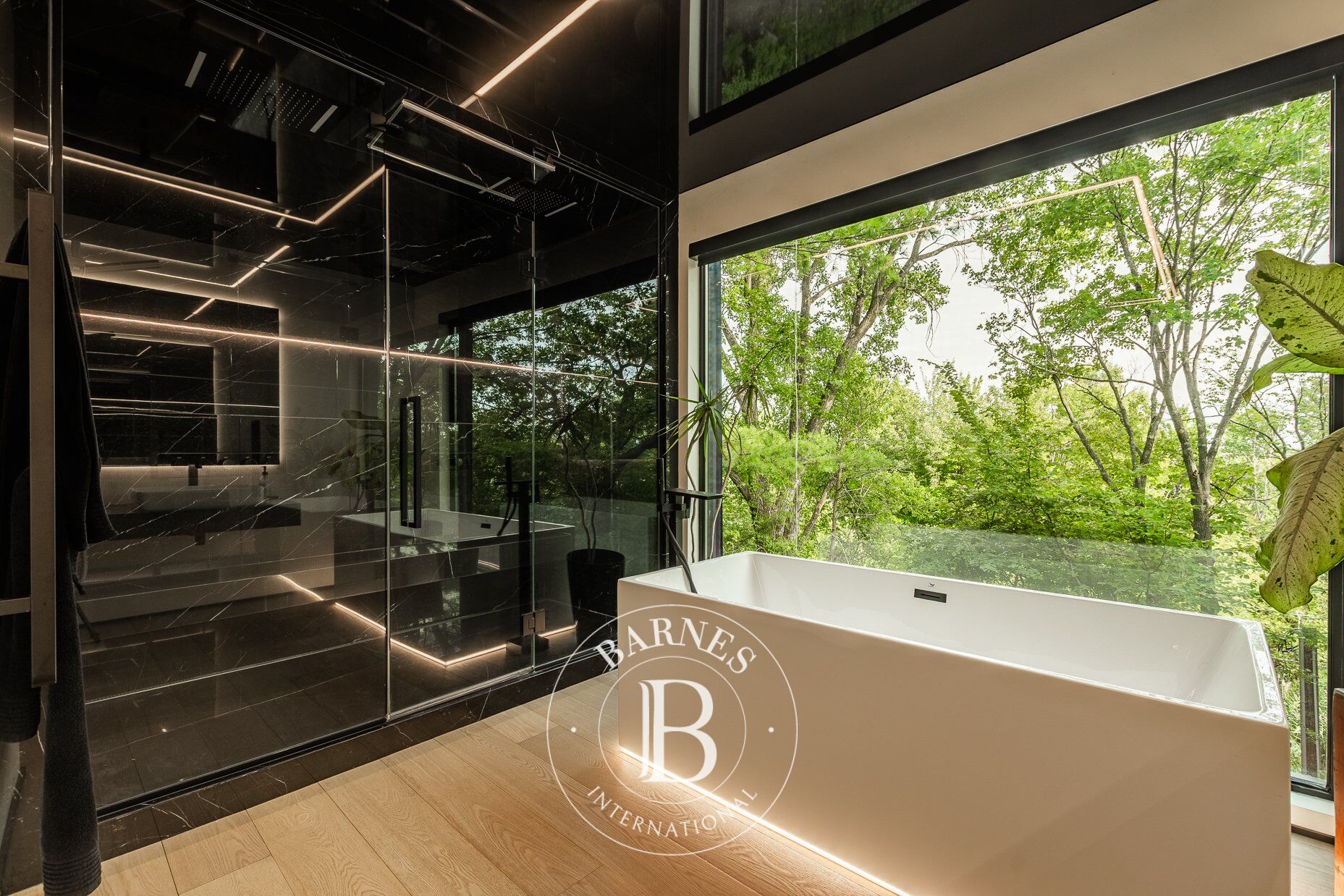 Ev Blainville - picture 39