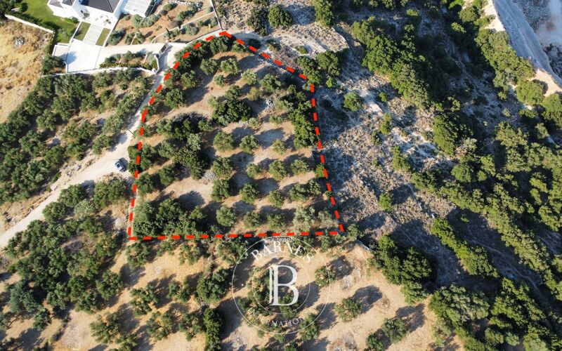 À vendre Terrain constructible | Kefalonia - picture 3