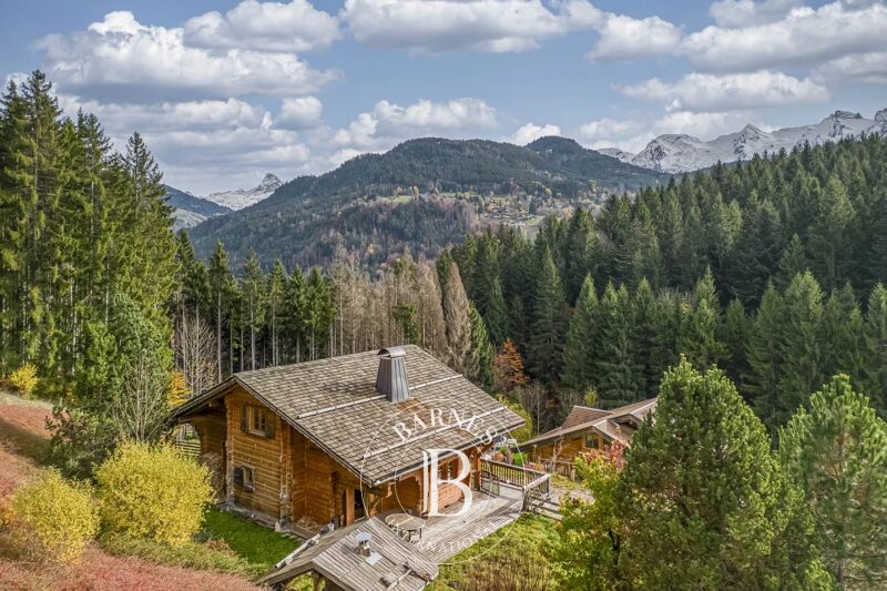 Vendita, Chalet Saint-Jean-de-Sixt - picture 1