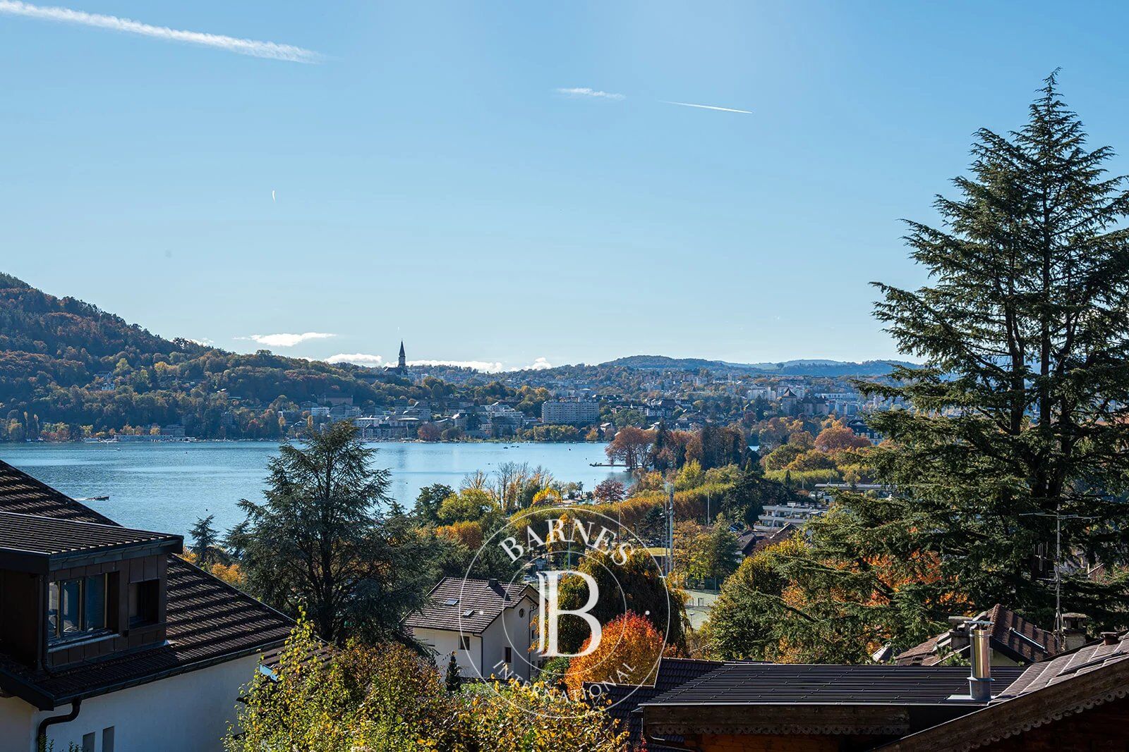 BARNES ANNECY  - LAKE VIEW VILLA - picture 1