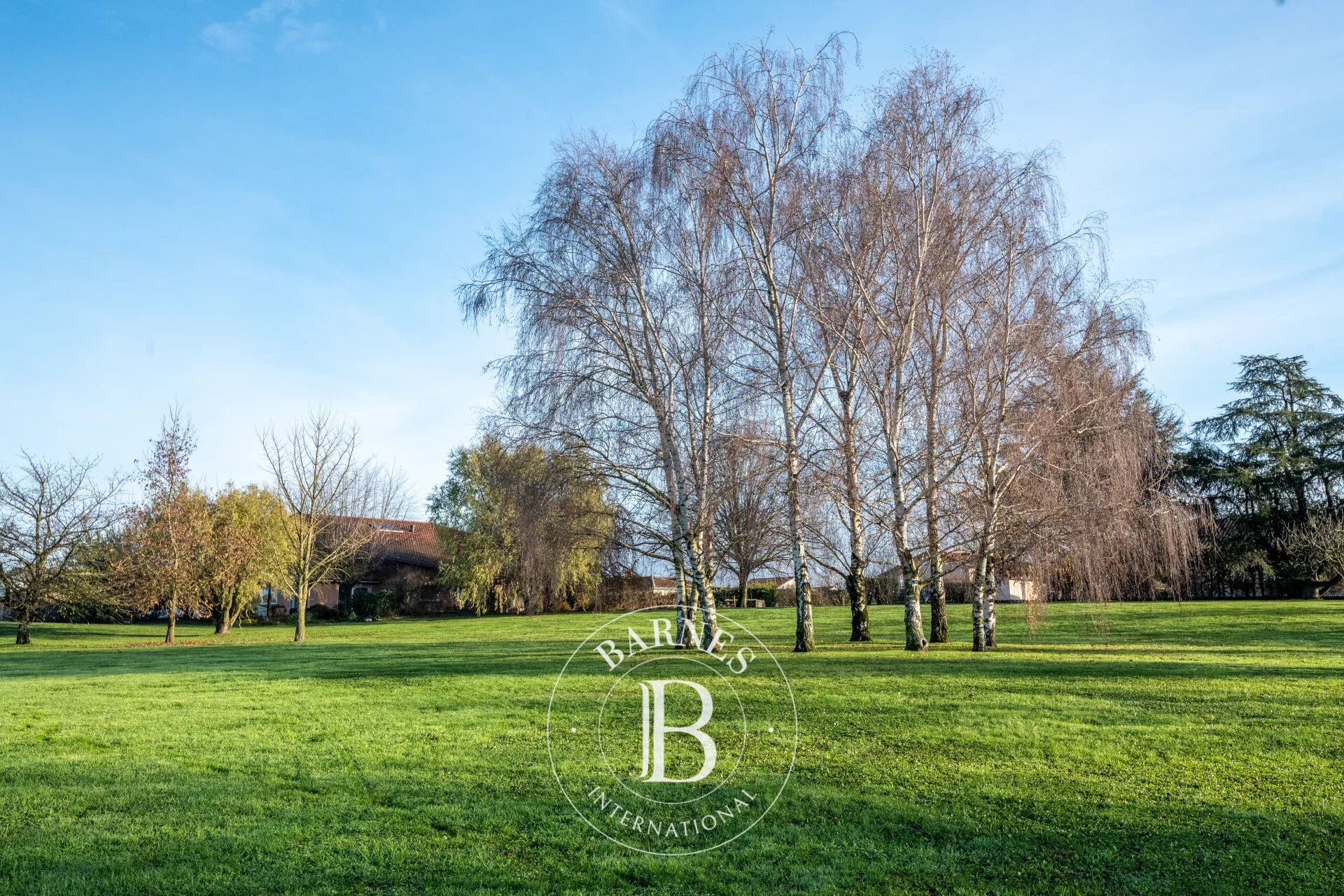 Chaleins - Maison de 317m² environ - 6 chambres - Parc arboré de 1ha avec piscine - picture 2