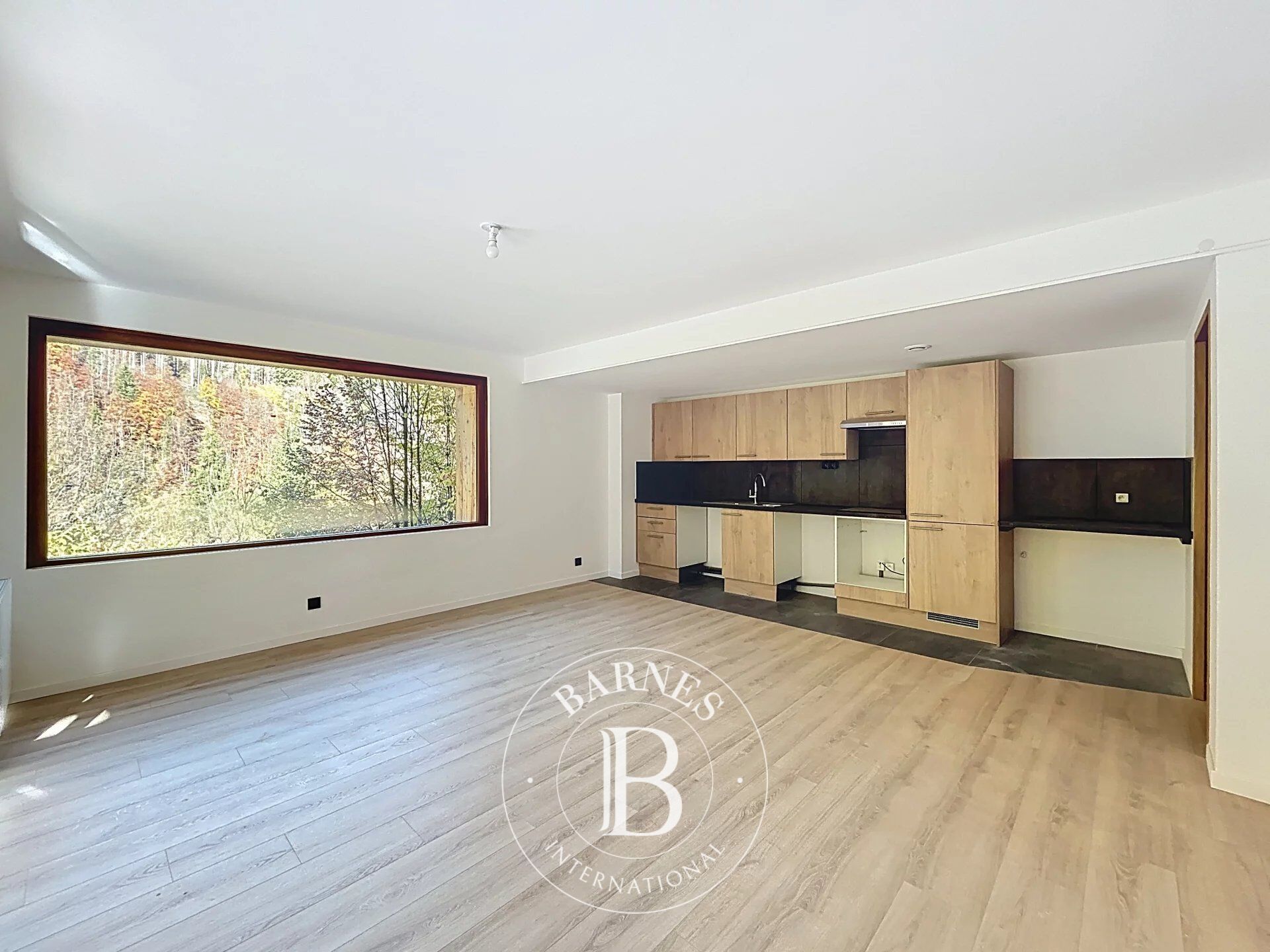 Piso Saint-Jean-d'Aulps - picture 2