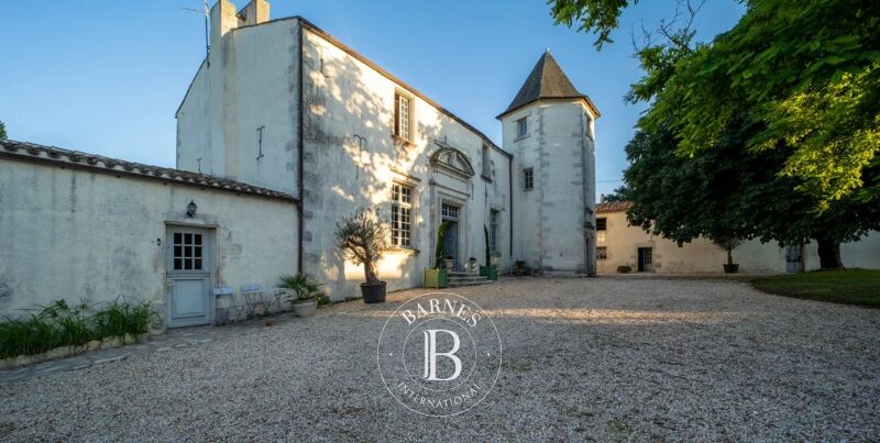 À vendre, Château Saint-Just-Luzac - picture 2