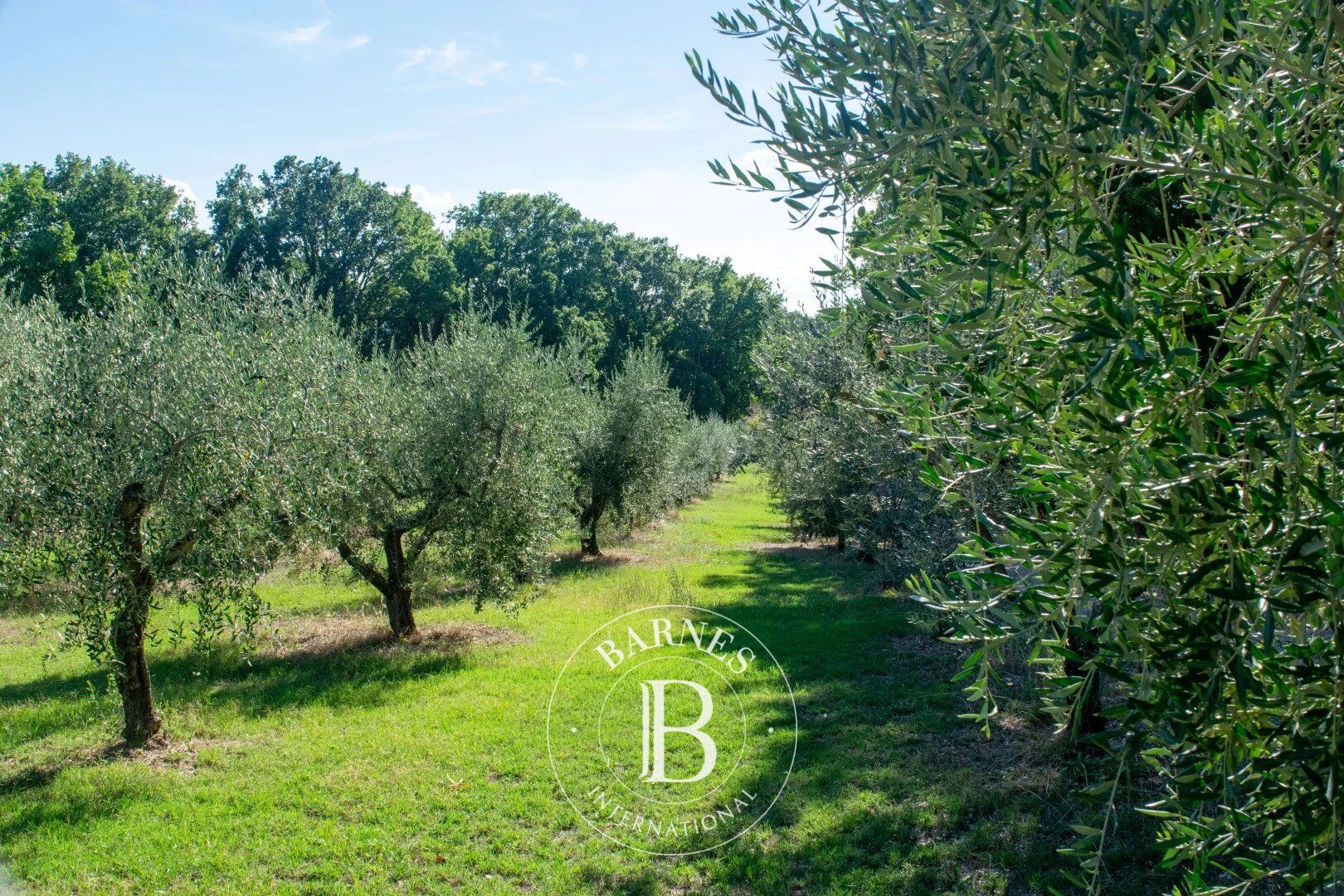 Kulübe Gualdo Cattaneo - picture 22