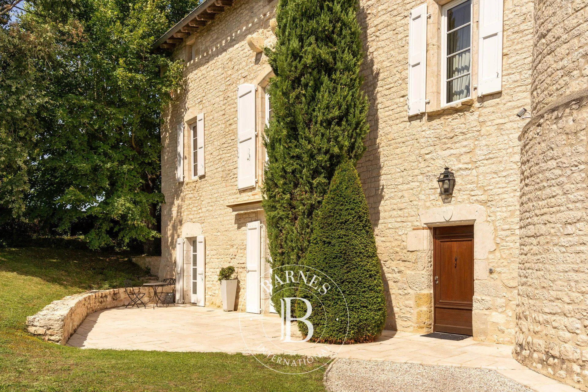 Castillo Fénols - picture 2