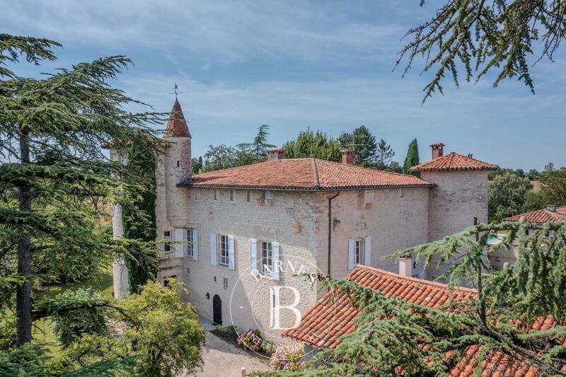 Venta, Castillo Fénols - picture 1